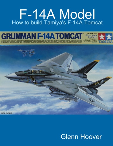 F-14A Model