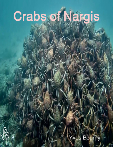 Crabs of Nargis