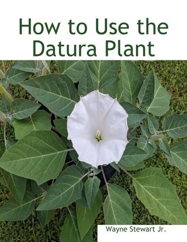 How to Use the Datura Plant