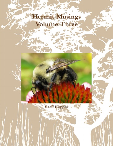Hermit Musings Volume Three