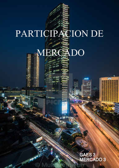 PARTICIPACION DE MERCADO