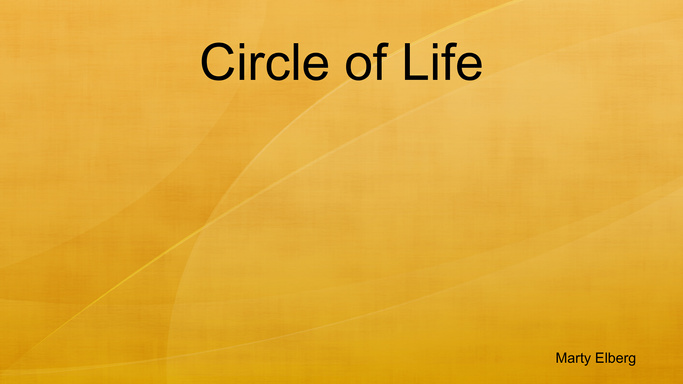 Circle of Life