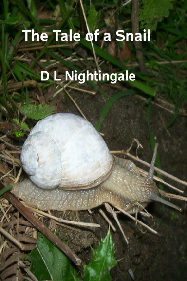 The Tale of a Snail