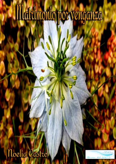 MATRIMONIO POR VENGANZA