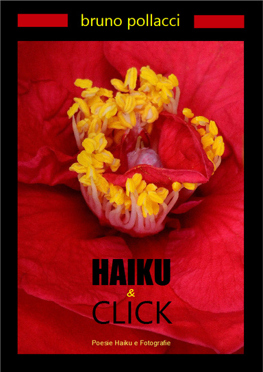 HAIKU & CLICK
