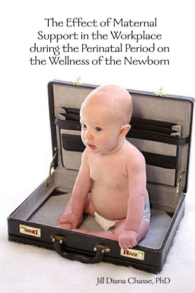 The Effect of Maternal Support in the Workplace during the Perinatal Period on the Wellness of the Newborn