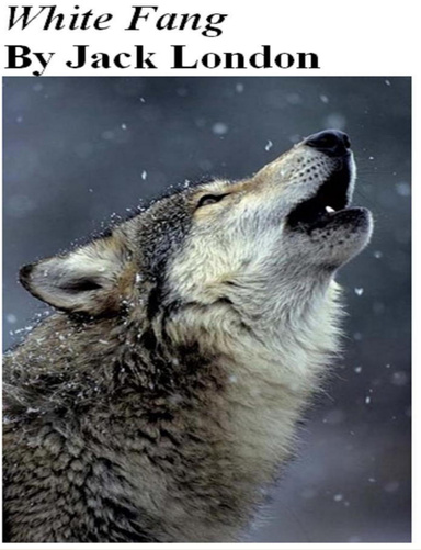 White Fang