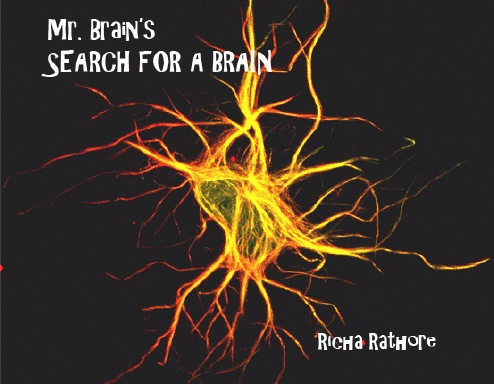 A Journey Through The Brain