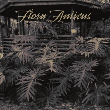 Flora Anticus