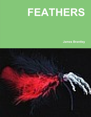FEATHERS