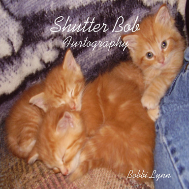 Shutter Bob: Furtography