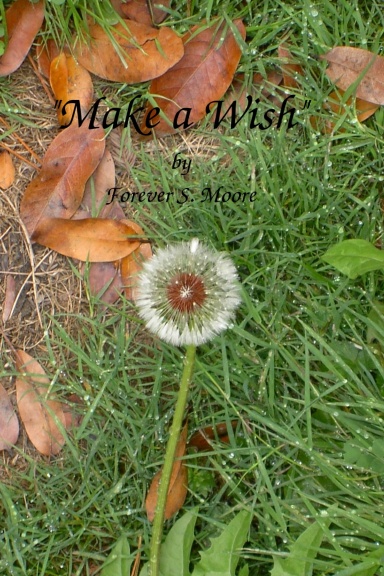 "Make A Wish"