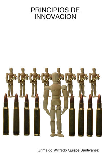 PRINCIPIOS DE INNOVACION