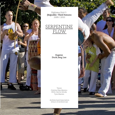 Serpentine Flow