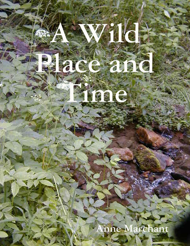 A Wild Place and Time