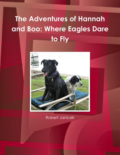 The Adventures of Hannah and Boo: Where Eagles Dare to Fly