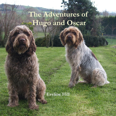 The Adventures of Hugo and Oscar