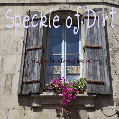 Speckle of Dirt