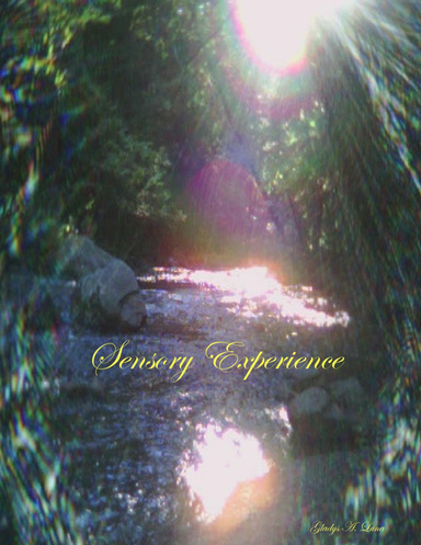 Sensory Experience