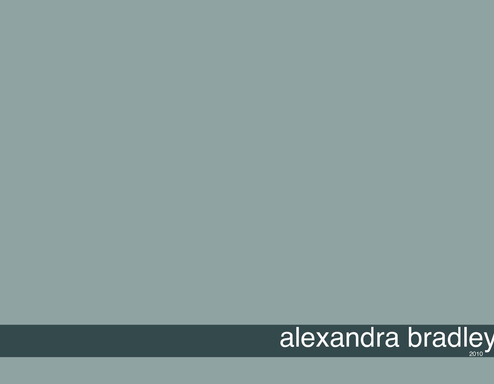 2010 portfolio