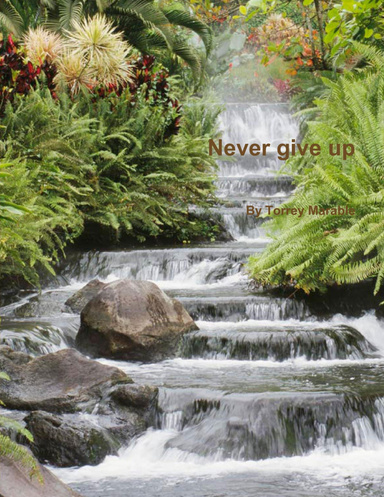 Never give up