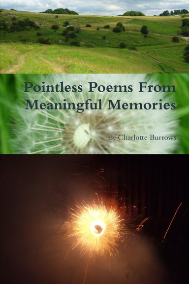 Pointless Poems From Meaningful Memories