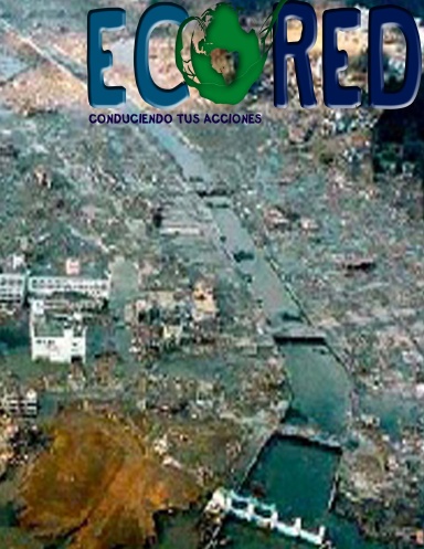 Ecored 6