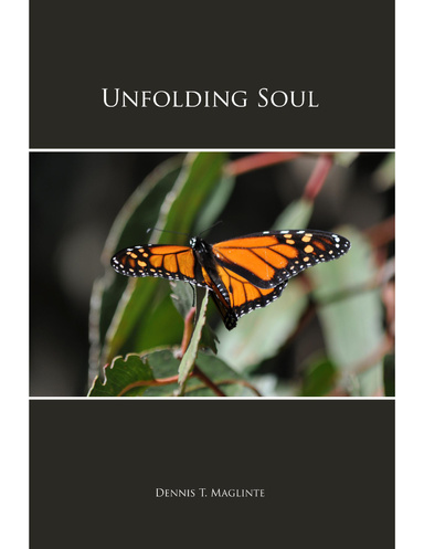 Unfolding Soul