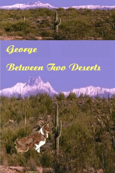 George Between Two Deserts