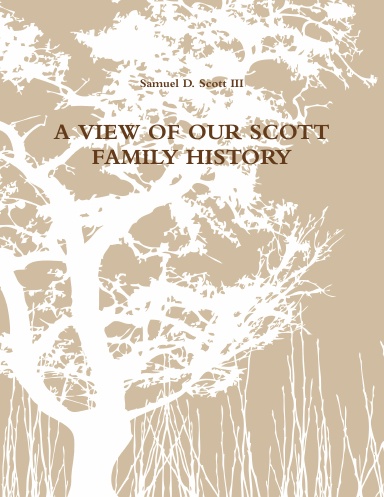 A VIEW OF OUR SCOTT FAMILY HISTORY