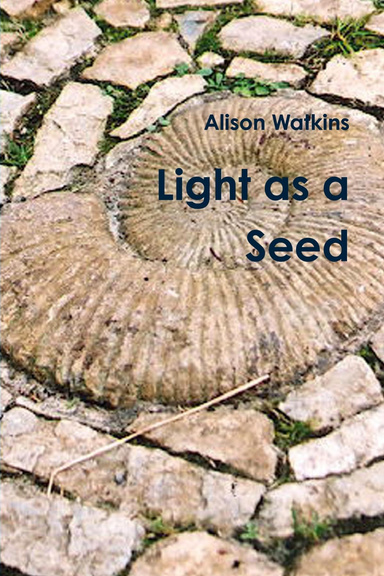 Light As a Seed
