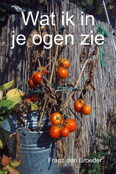 Wat ik in je ogen zie