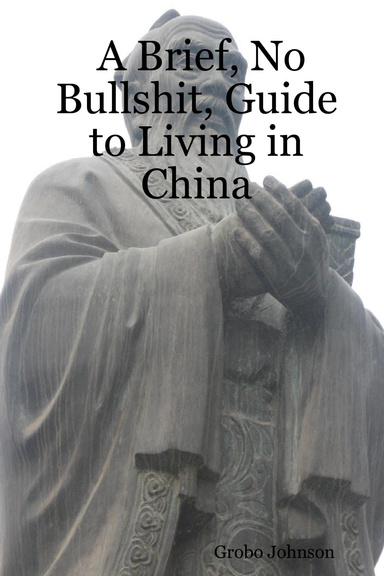 A Brief, No Bullshit, Guide to Living in China