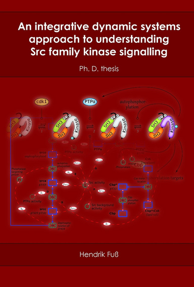 An integrative dynamic systems approach to understanding Src family kinase signalling