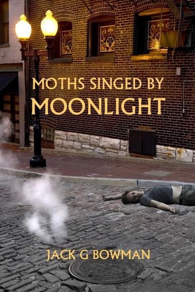 Moths Singed by Moonlight