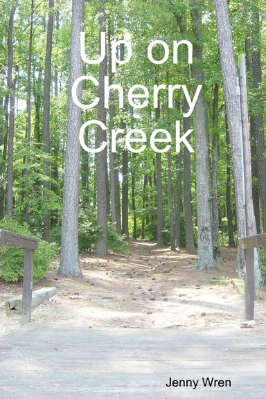 Up on Cherry Creek
