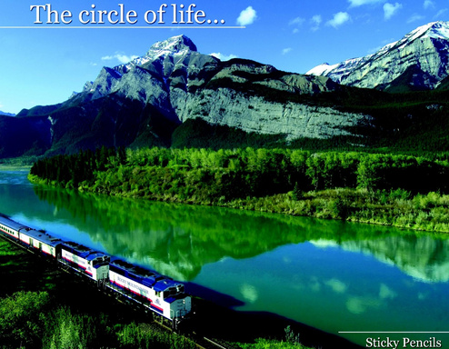 The Circle Of Life
