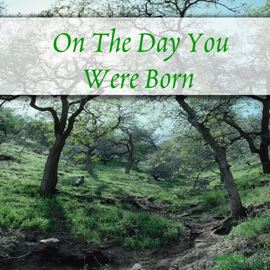 On The Day You Were Born