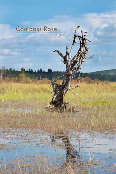 Compass Rose Volume X