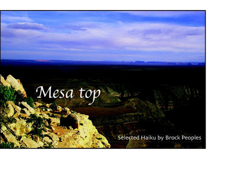 Mesa Top