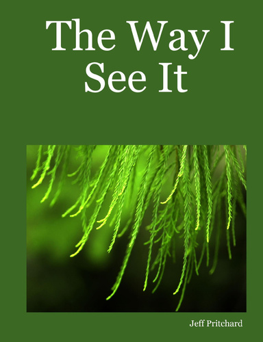 The Way I See It