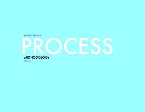Process: Methodology 2006