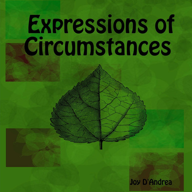 Expressions of Circumstances