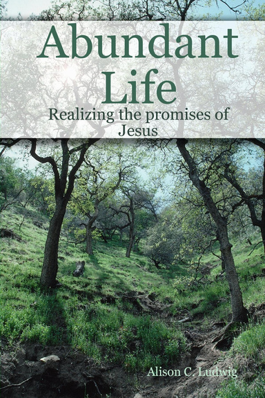 Abundant Life