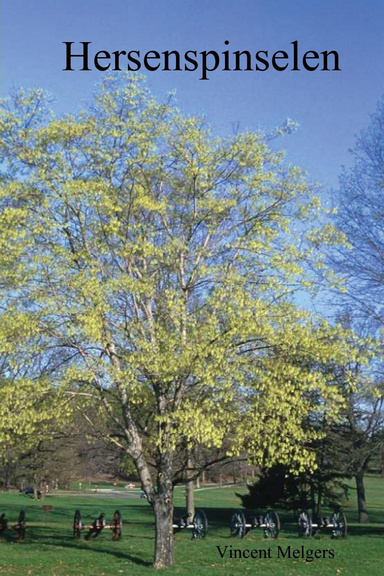 Hersenspinselen