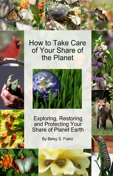 How to Take Care of Your Share of the Planet