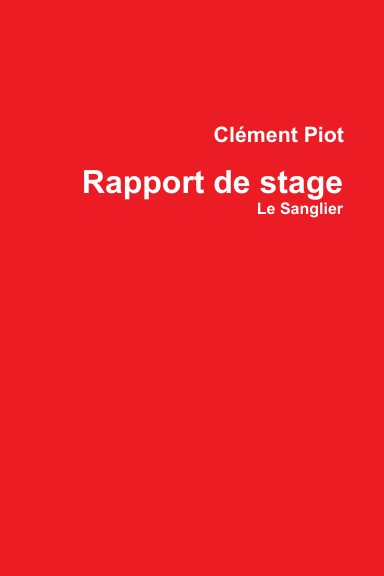 rapport de stage.