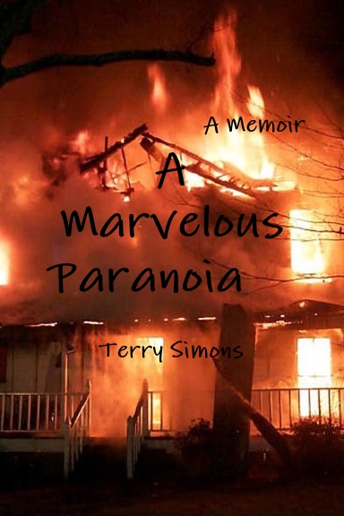 A Marvelous Paranoia