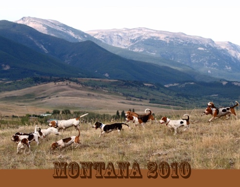 Montana 2010