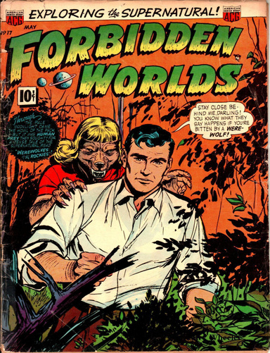 Forbidden Worlds 17